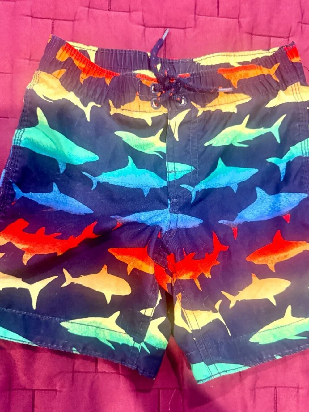 Bundle of 3 Boys Gap Swim Trunks - Size 5
